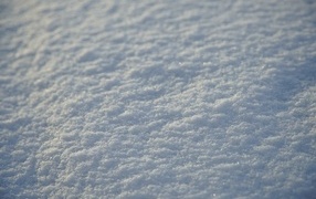 Cold white fallen snow