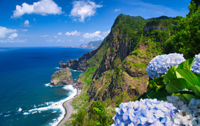 High cliff on the seashore, Madeira island. Portugal