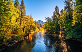 River in autumn park, USA