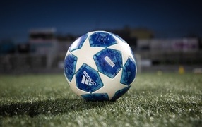 Adidas soccer ball on the field