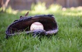 Baseball glove and ball on green grass