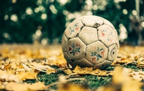 Old soccer ball on foliage