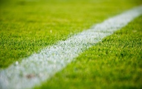 White stripe on a football field