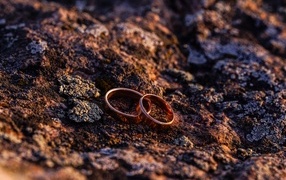 Two wedding rings on the ground