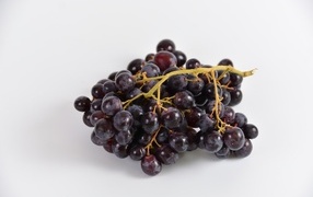 Bunch of pink grapes on a gray background