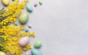 Multi-colored Easter eggs with mimosa branches