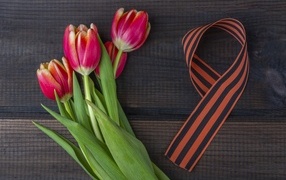 St. George's ribbon with a bouquet of tulips on May 9