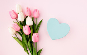 Bouquet of tulips with blue heart on pink background