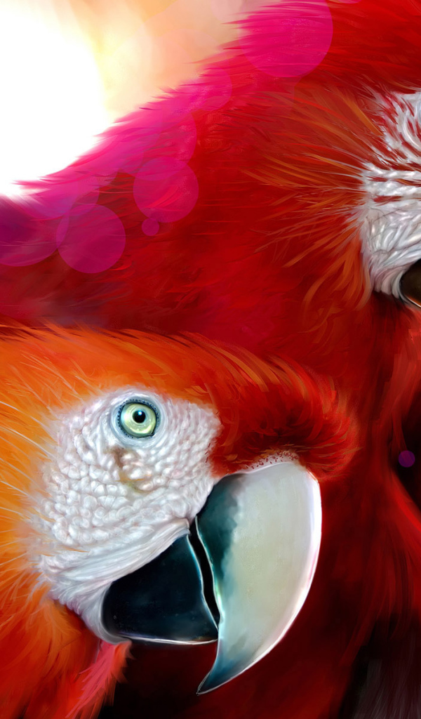 Красные попугаи