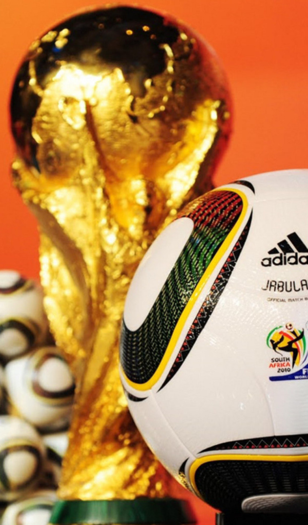 Чемпионат мира по футболу 2010, ЮАР