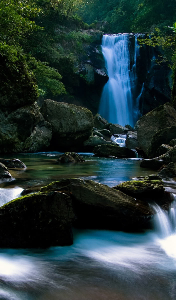 Водопад на лесной речке
