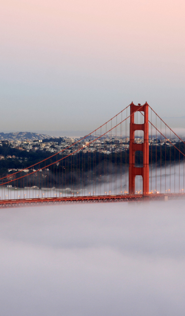 Калифорнийский мост в тумане