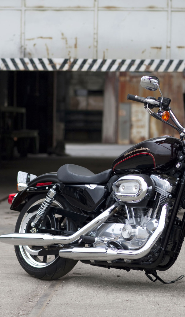 Harley Davidson XL883 SuperLow