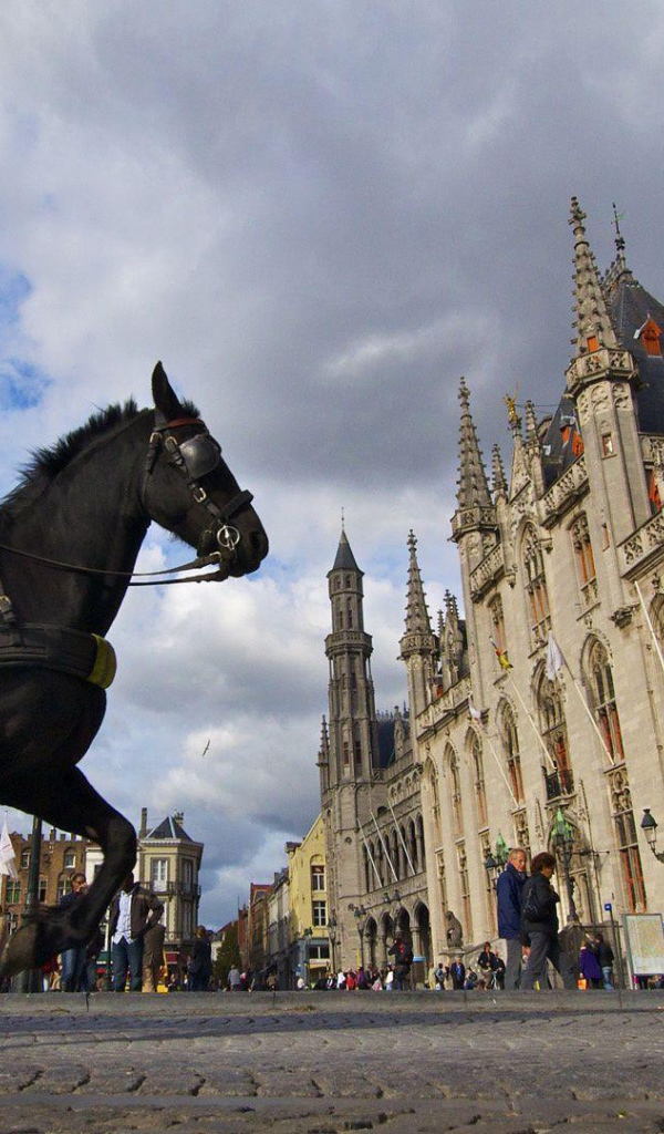 Лошадь на площади