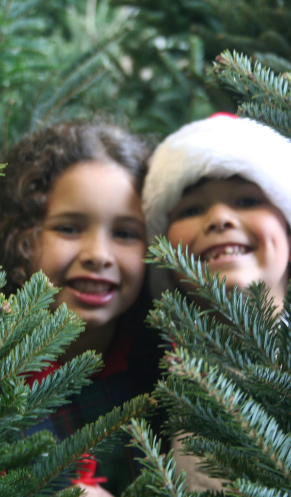 Children at the Christmas Tree 2014
