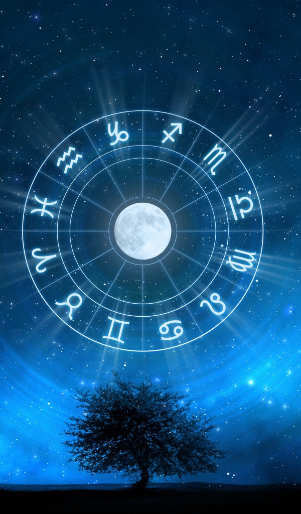 Знаки зодиака на звёздном небе