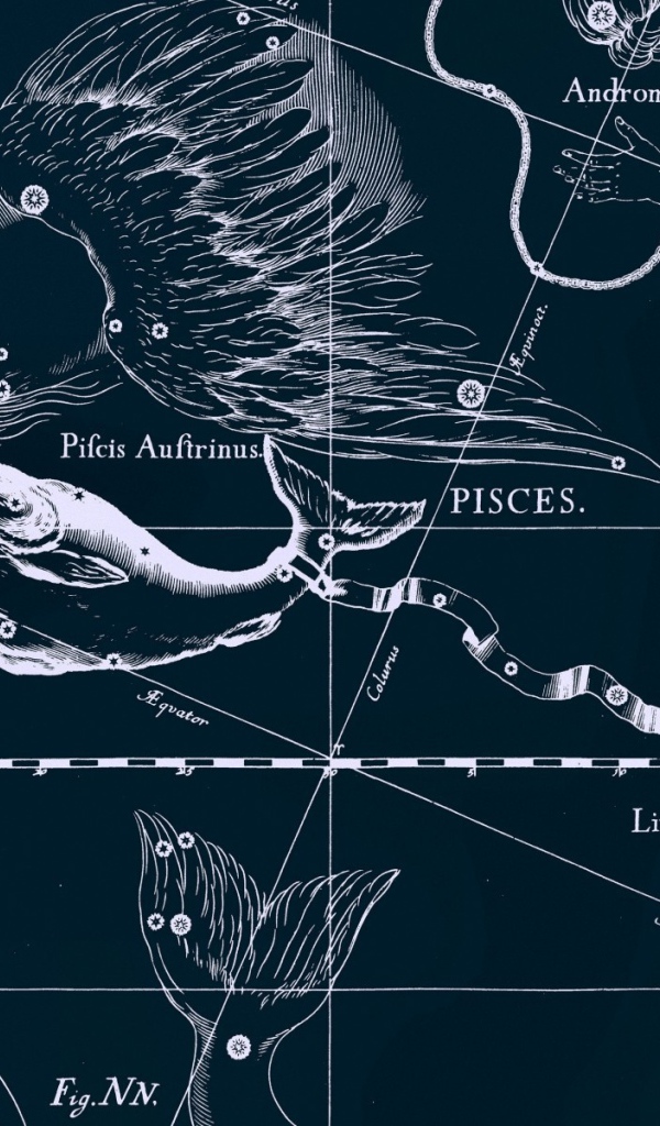 Карта звездного неба, рыбы