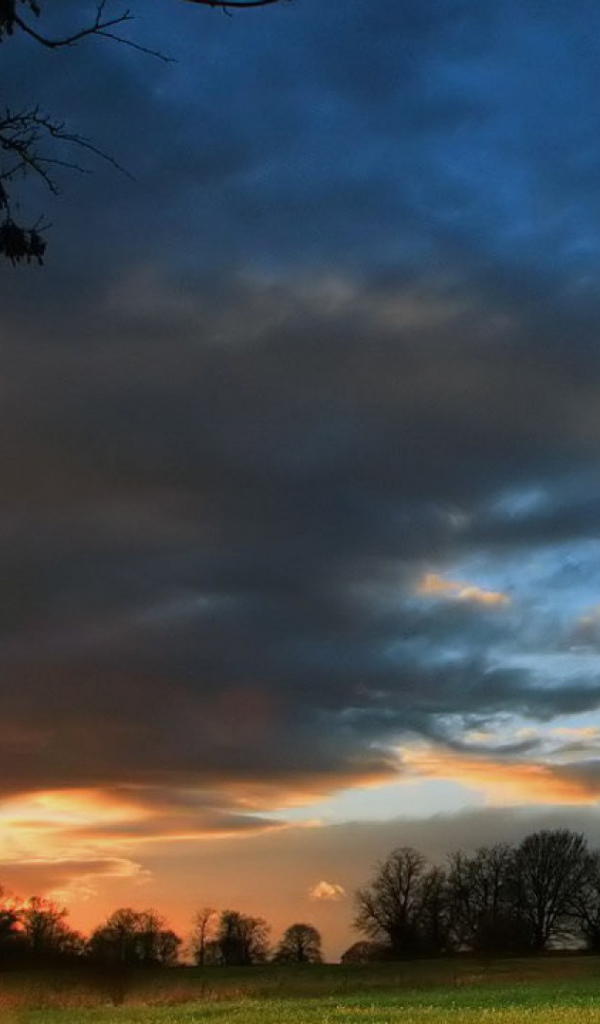 Ротвейлер на фоне заката