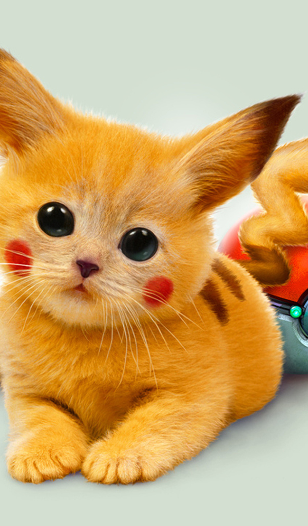 Рыжий котенок покемон