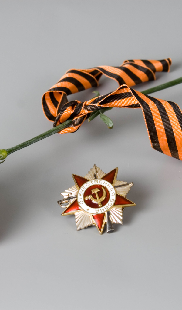 Гвоздика и орден в День Победы 9 мая
