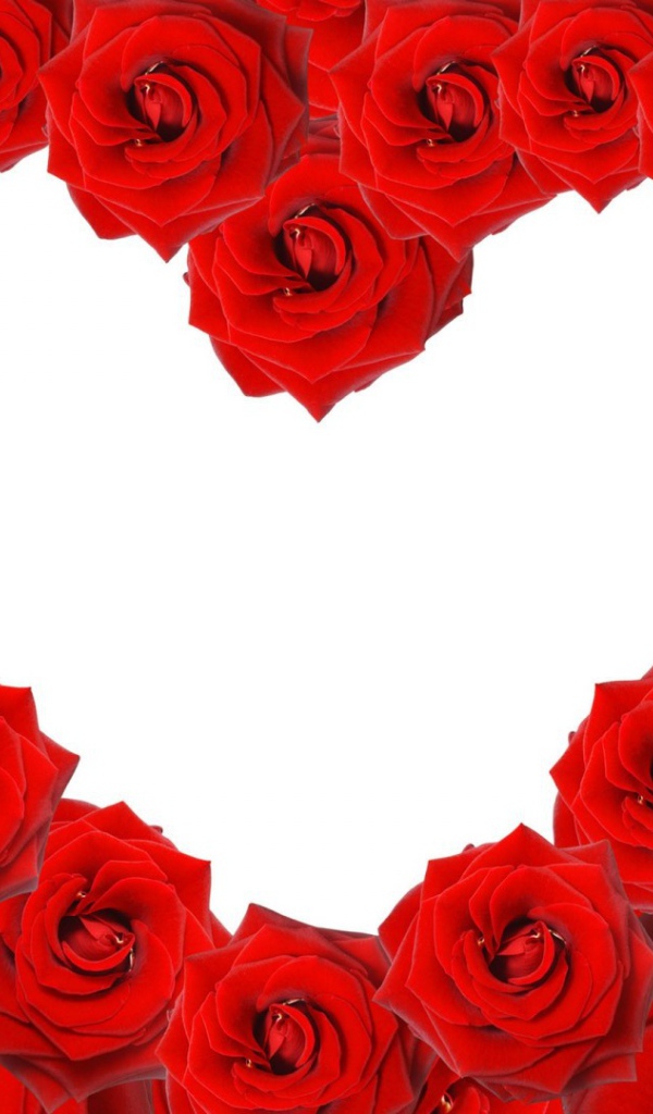 Красные розы в форме сердца на белом фоне