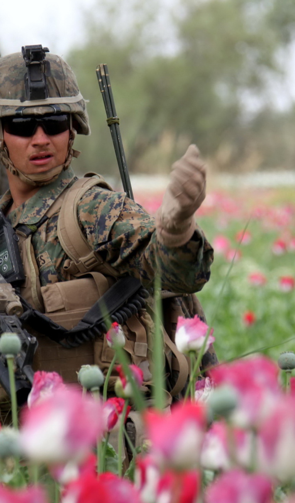 Солдат в розовых тюльпанах