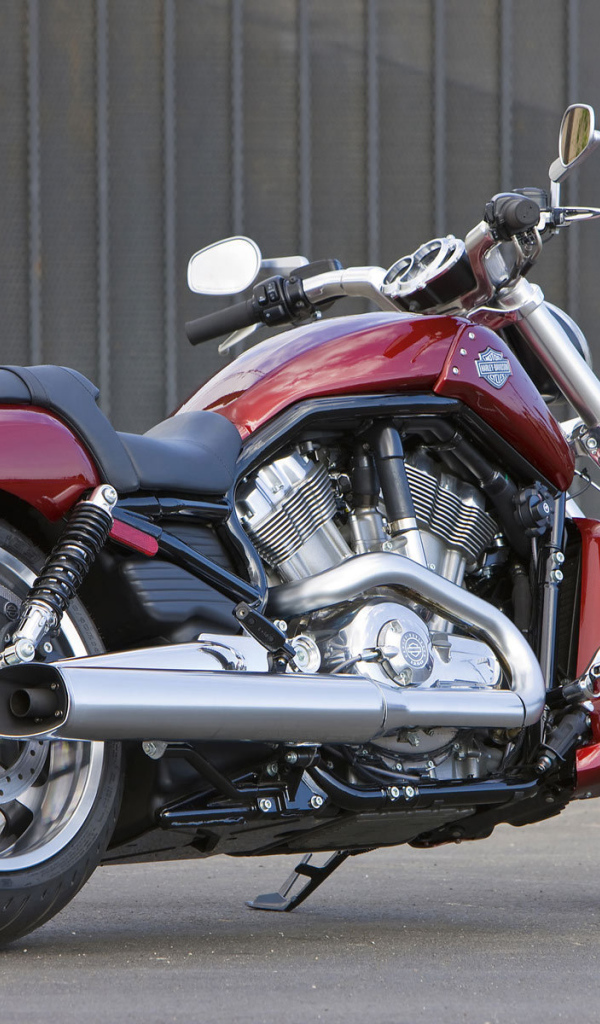 Красивый мотоцикл Harley-Davidson V-Rod Muscle
