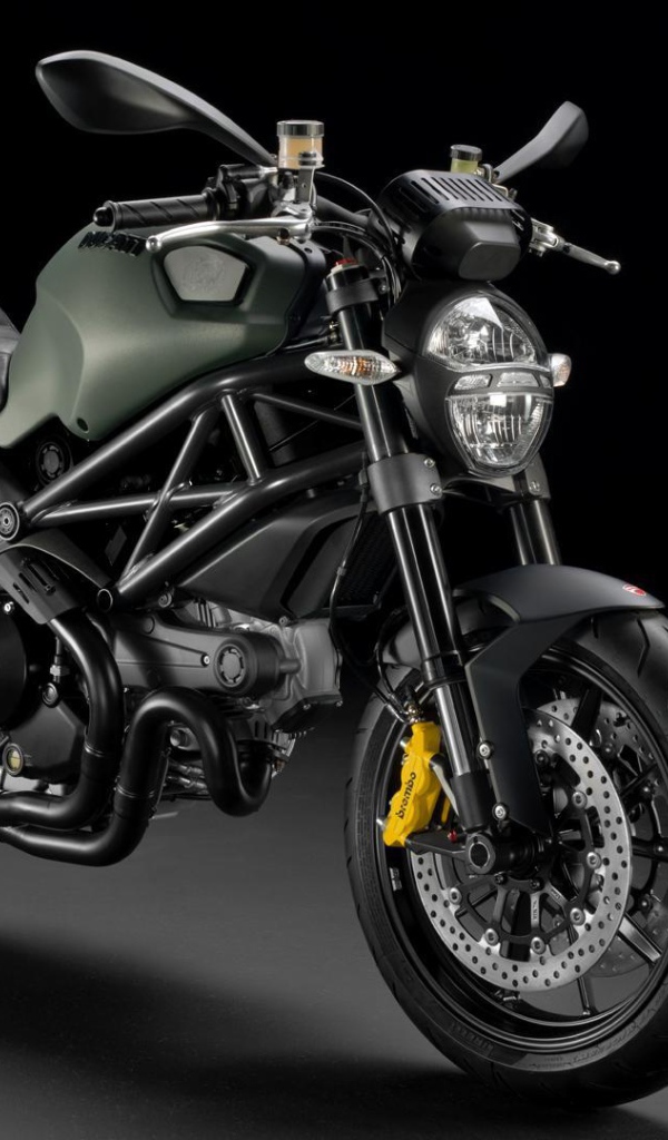 Incredible motorcycle Ducati Monster Diesel 