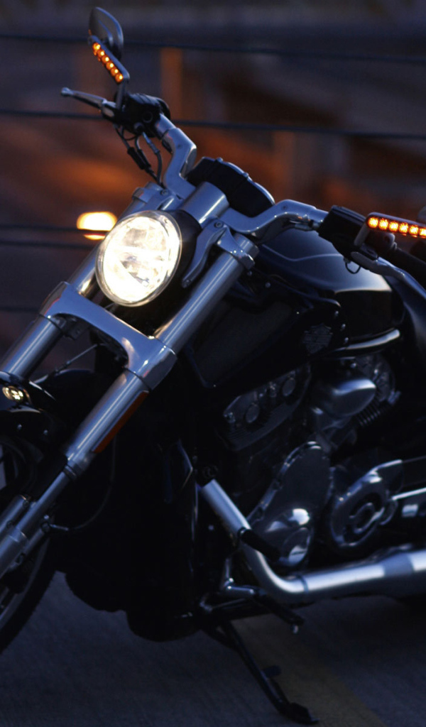 Невероятный мотоцикл Harley-Davidson V-Rod Muscle
