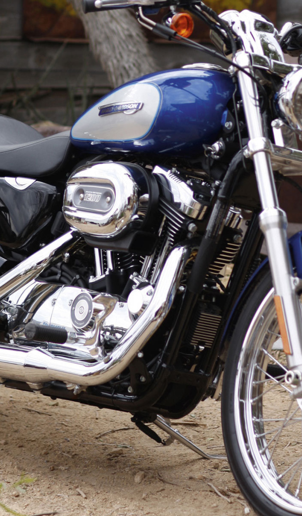 Новый надежный мотоцикл Harley-Davidson XL 1200C Sportster Custom
