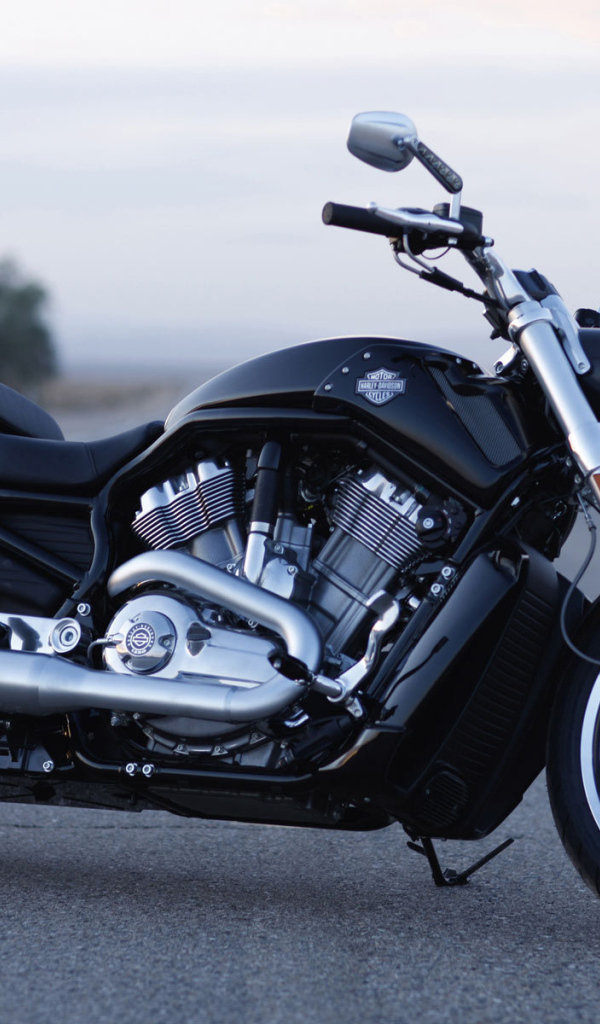 Популярный мотоцикл Harley-Davidson V-Rod Muscle