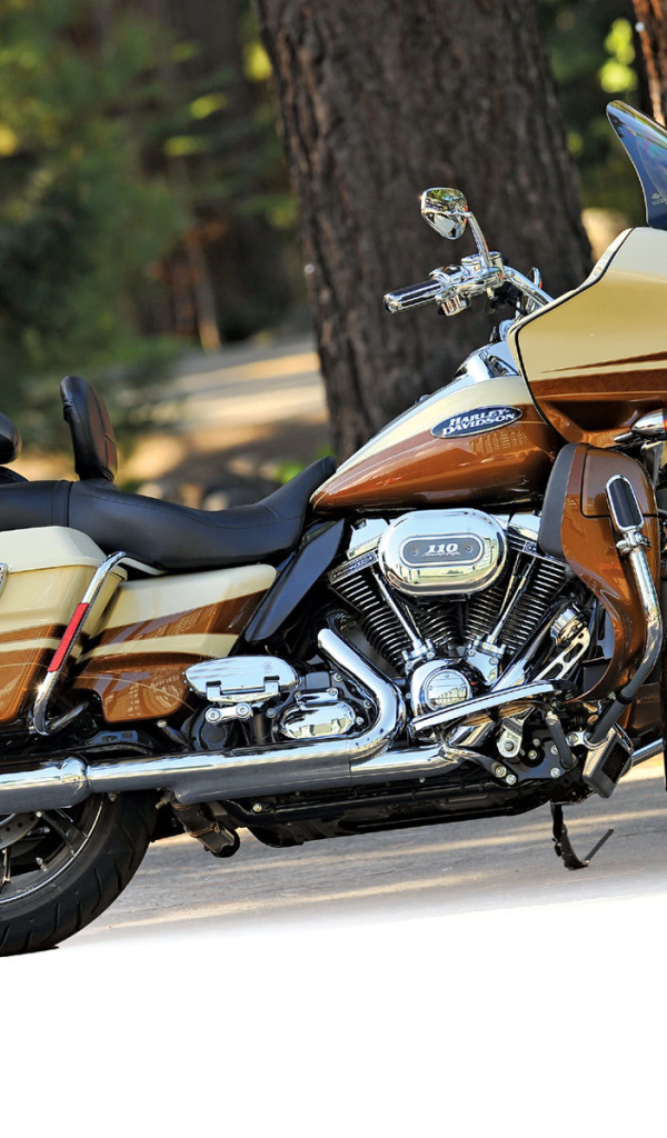 Надежный мотоцикл Harley-Davidson CVO Road Glide Custom