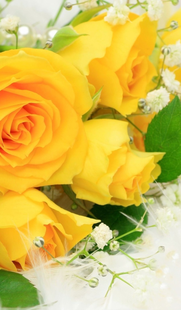 Желтые розы с белыми цветами