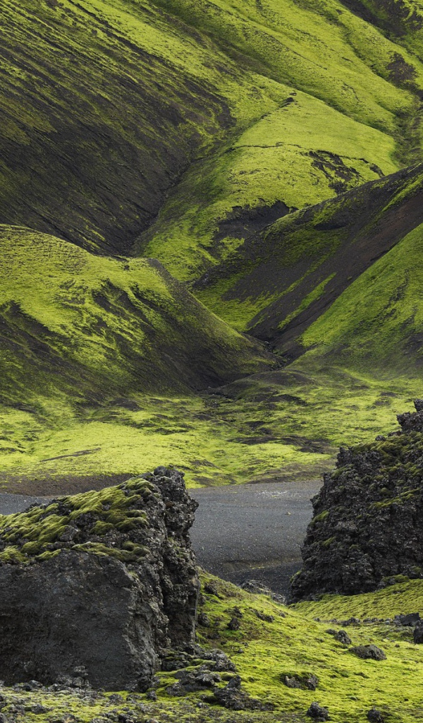 Green mountains Iceland