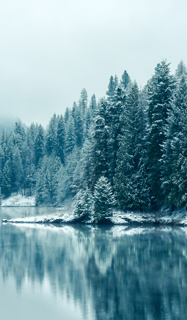 Красивая зима, Британская Колумбия, Канада