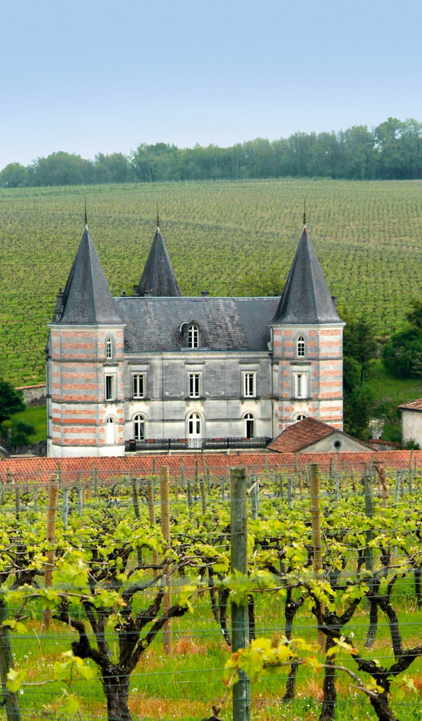 Замок в провинции Шампань, Франция
