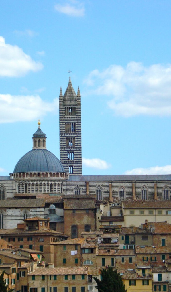 Вид на собор в Сиене, Италия