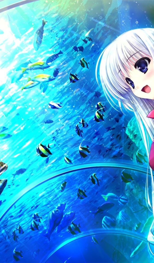 Девушка в океанариуме в аниме Натюрморт в серых тонах