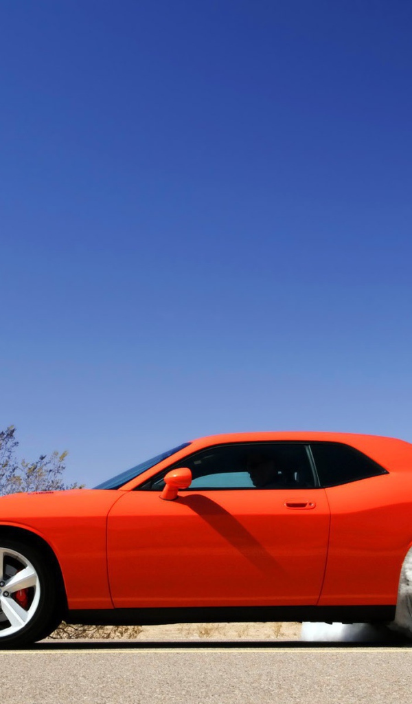 Оранжевый автомобиль стартует возле кактуса