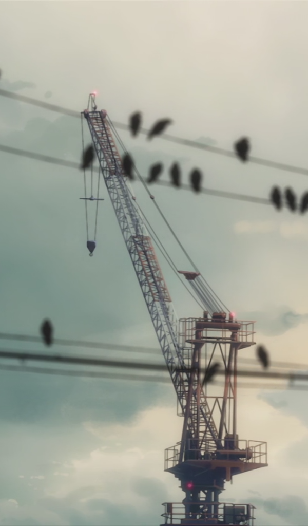 Птицы сидят на проводах на фоне строительного крана