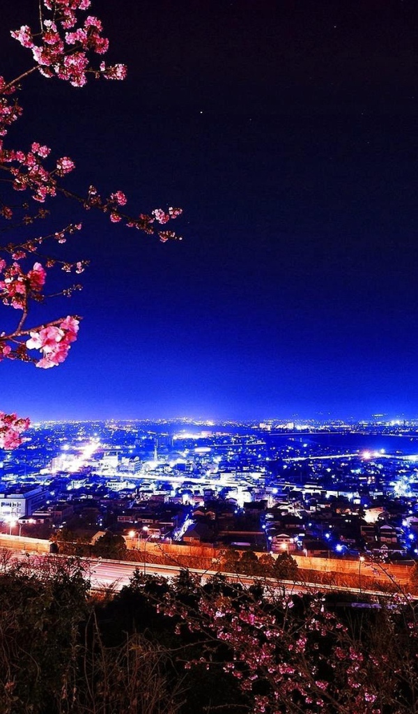 Цветущая сакура на фоне ночного города