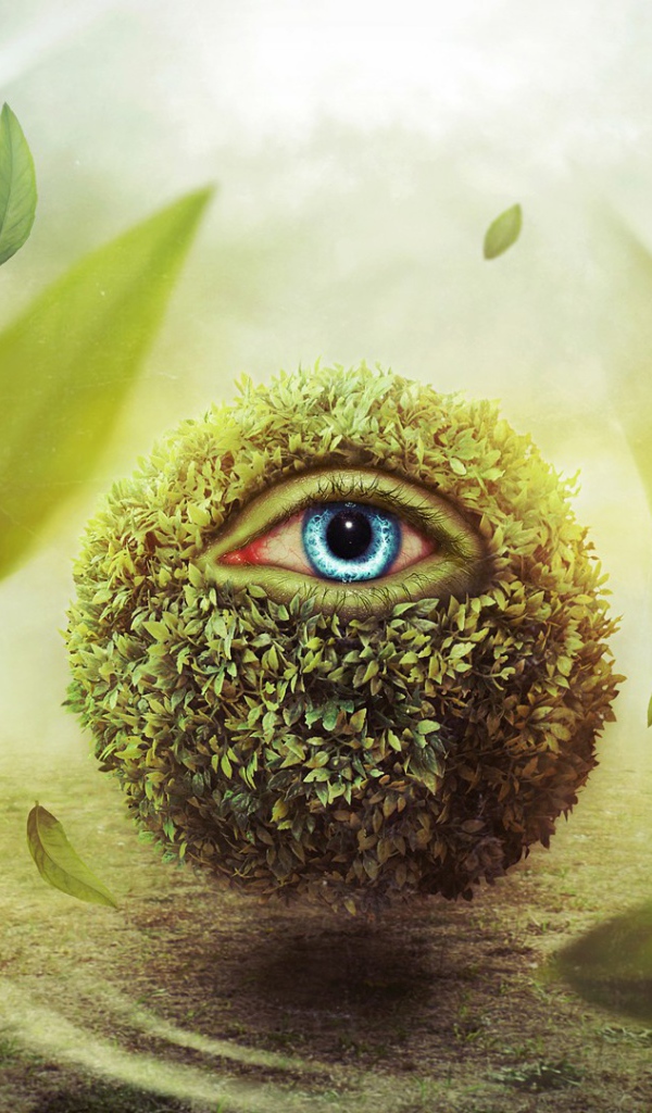 Глаз в шаре из листьев