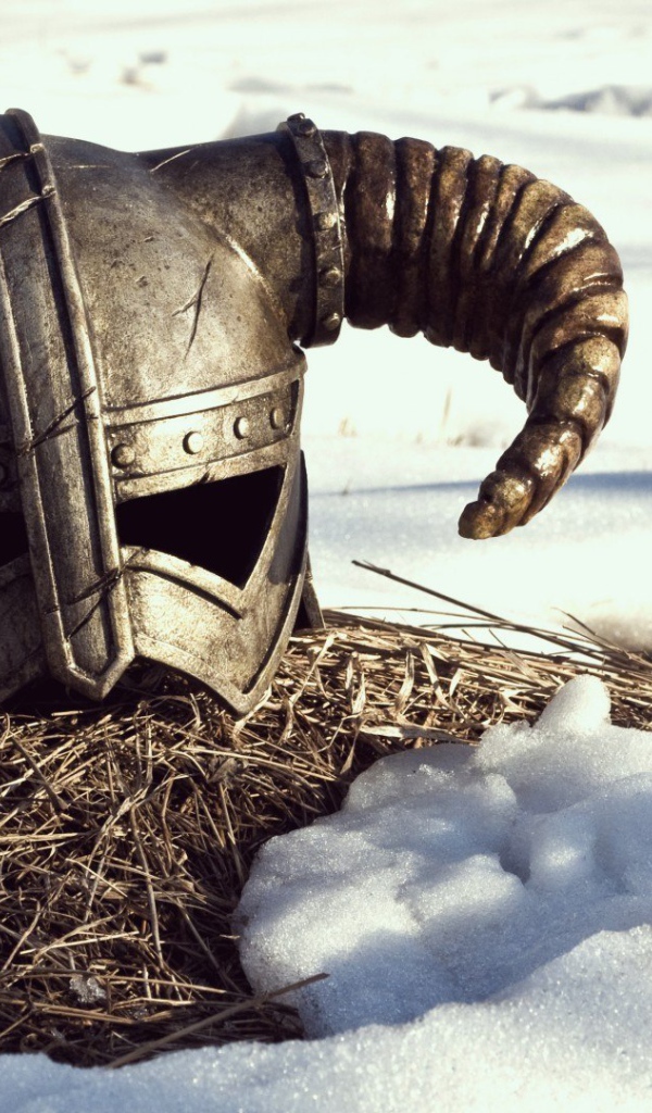 Железный шлем викинга