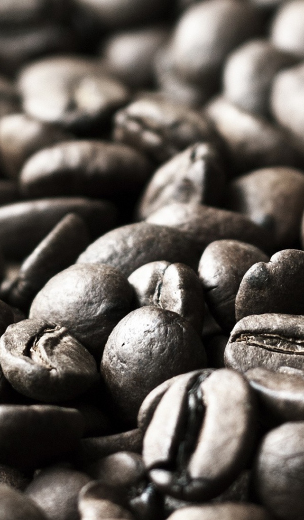 Черно белое фото зерен кофе