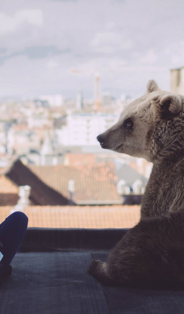 Девушка с медведем на крыше