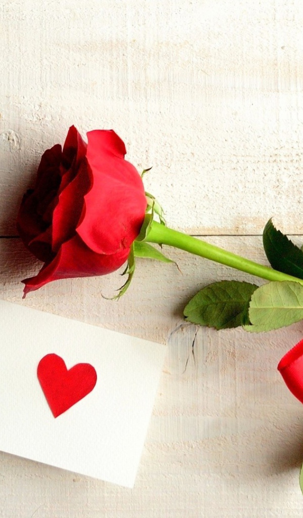 Роза и любовная записка