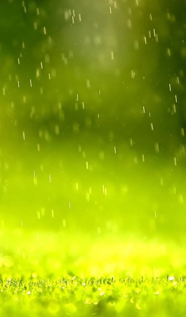 Дождь в зеленой дымке
