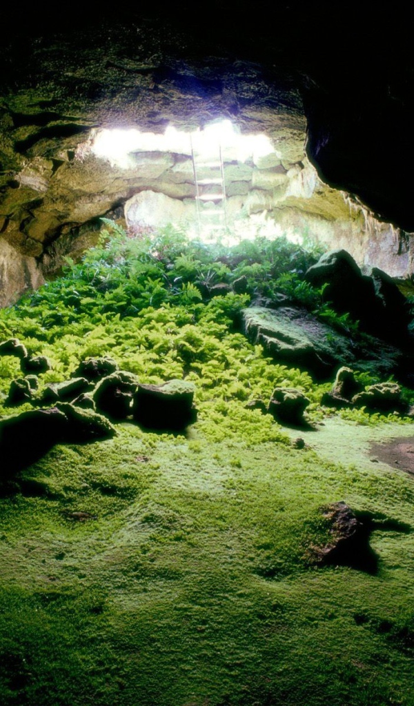 Зеленый холм в пещере