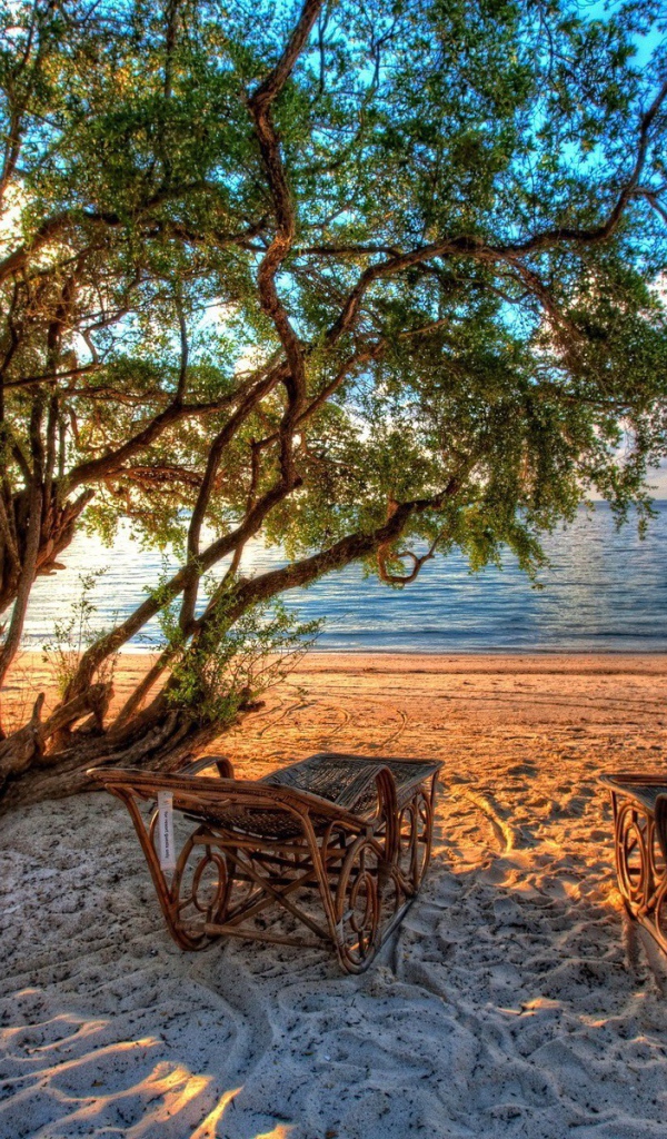 Шезлонги из лозы на пляже под деревом