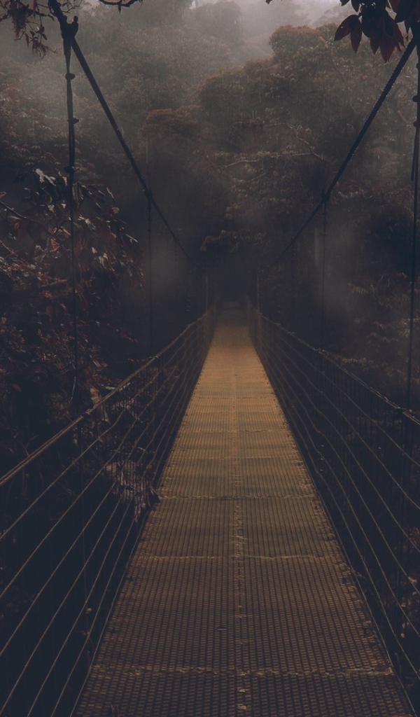 Мост в мрачный лес
